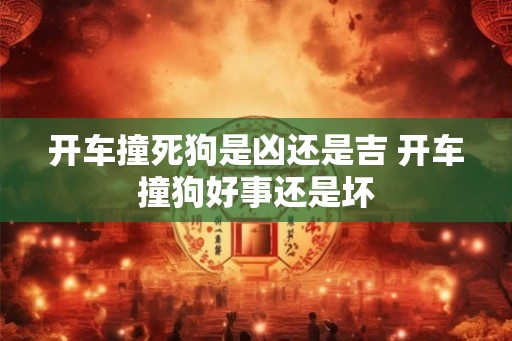 开车撞死狗是凶还是吉 开车撞狗好事还是坏