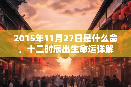 2015年11月27日是什么命，十二时辰出生命运详解