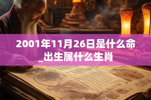 2001年11月26日是什么命_出生属什么生肖