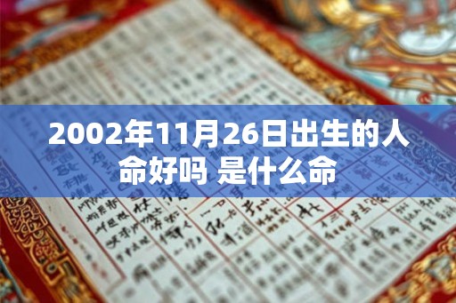2002年11月26日出生的人命好吗 是什么命