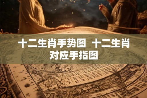十二生肖手势图  十二生肖对应手指图