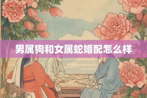 男属狗和女属蛇婚配怎么样