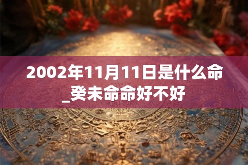 2002年11月11日是什么命_癸未命命好不好