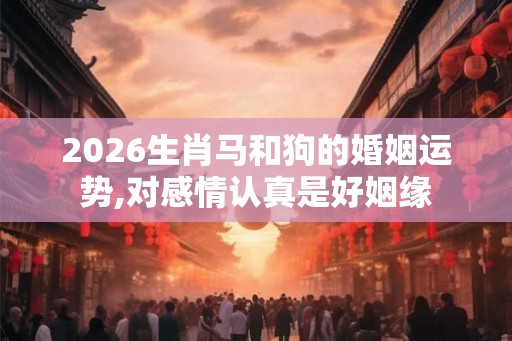 2026生肖马和狗的婚姻运势,对感情认真是好姻缘