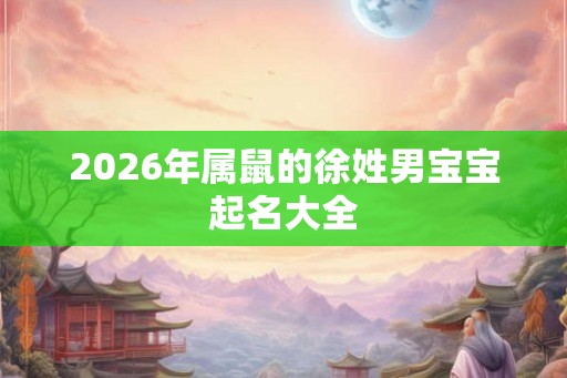 2026年属鼠的徐姓男宝宝起名大全