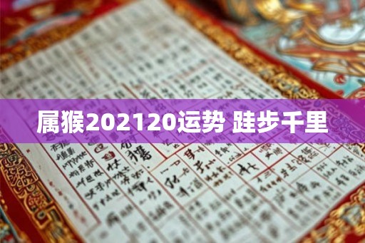 属猴202120运势 跬步千里