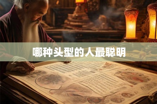 哪种头型的人最聪明