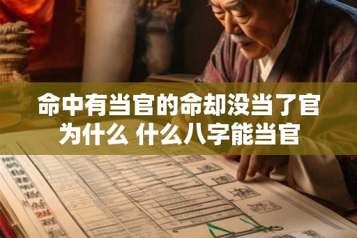 命中有当官的命却没当了官为什么 什么八字能当官