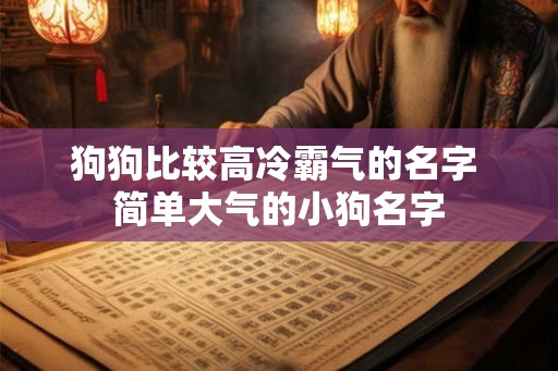 狗狗比较高冷霸气的名字 简单大气的小狗名字