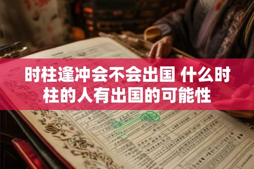 时柱逢冲会不会出国 什么时柱的人有出国的可能性
