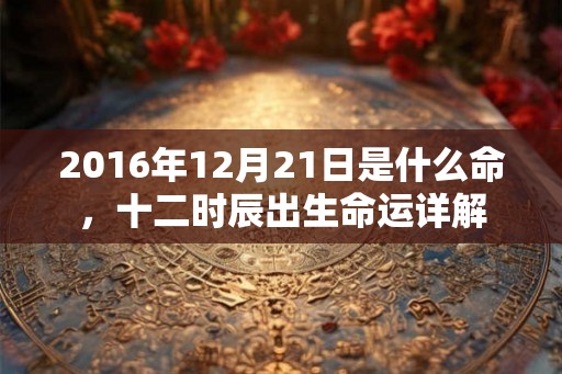 2016年12月21日是什么命，十二时辰出生命运详解