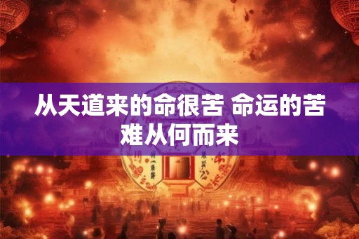 从天道来的命很苦 命运的苦难从何而来