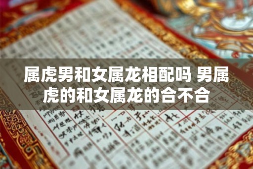 属虎男和女属龙相配吗 男属虎的和女属龙的合不合 属虎男和女属龙相配吗 男属虎的和女属龙的合不合