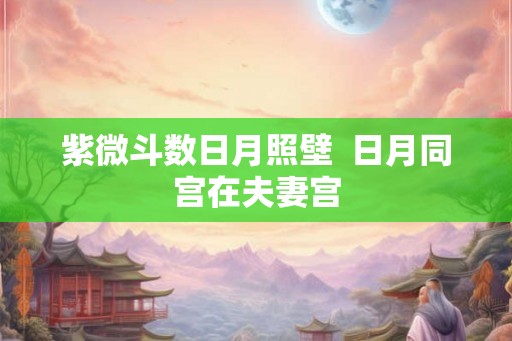 紫微斗数日月照壁 日月同宫在夫妻宫 紫微斗数日月照壁 日月同宫在夫妻宫