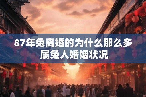 87年兔离婚的为什么那么多 属兔人婚姻状况