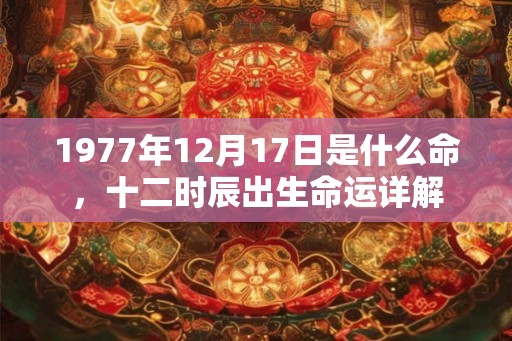 1977年12月17日是什么命，十二时辰出生命运详解