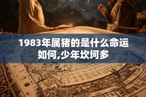 1983年属猪的是什么命运如何,少年坎坷多