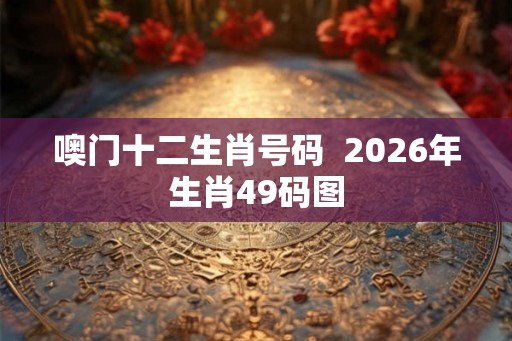噢门十二生肖号码 2026年生肖49码图 噢门十二生肖号码 2026年生肖49码图