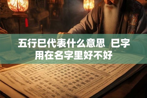 五行巳代表什么意思  巳字用在名字里好不好