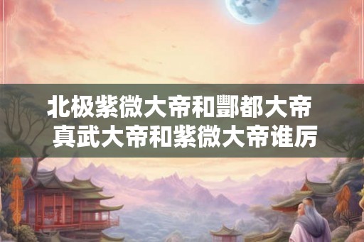 北极紫微大帝和酆都大帝  真武大帝和紫微大帝谁厉害