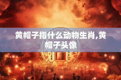 黄帽子指什么动物生肖,黄帽子头像