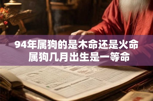 94年属狗的是木命还是火命  属狗几月出生是一等命