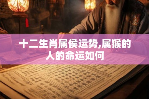 十二生肖属侯运势,属猴的人的命运如何