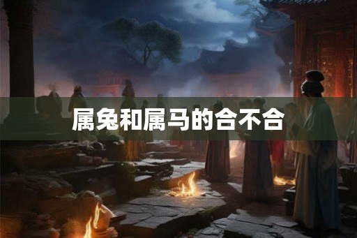 属兔和属马的合不合 属兔和属马的合不合