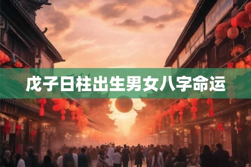 戊子日柱出生男女八字命运