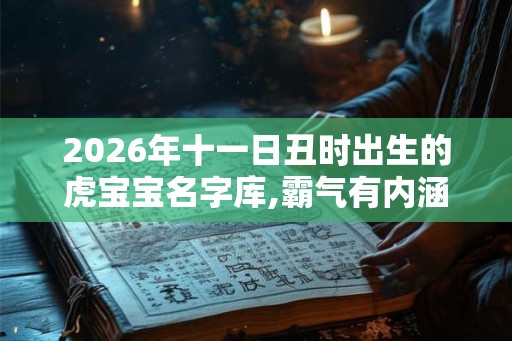 2026年十一日丑时出生的虎宝宝名字库,霸气有内涵 2026年十一日丑时出生的虎宝宝名字库,霸气有内涵