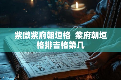 紫微紫府朝垣格  紫府朝垣格排吉格第几