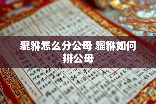 貔貅怎么分公母 貔貅如何辨公母