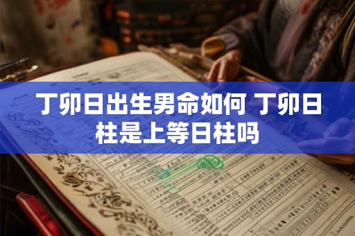 丁卯日出生男命如何 丁卯日柱是上等日柱吗