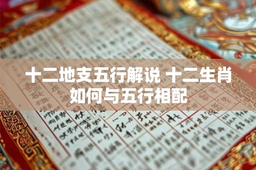 十二地支五行解说 十二生肖如何与五行相配