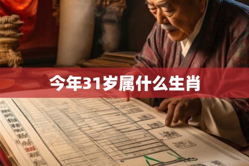 今年31岁属什么生肖