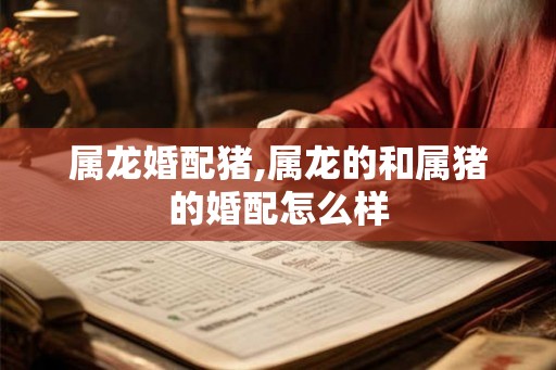属龙婚配猪,属龙的和属猪的婚配怎么样