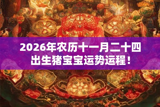 2026年农历十一月二十四出生猪宝宝运势运程！