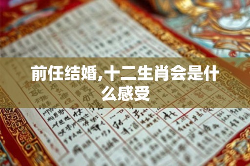 前任结婚,十二生肖会是什么感受