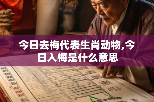 今日去梅代表生肖动物,今日入梅是什么意思