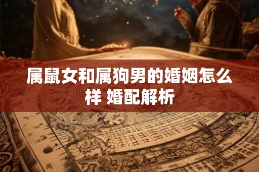 属鼠女和属狗男的婚姻怎么样 婚配解析