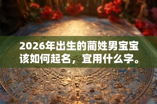 2026年出生的蔺姓男宝宝该如何起名，宜用什么字。