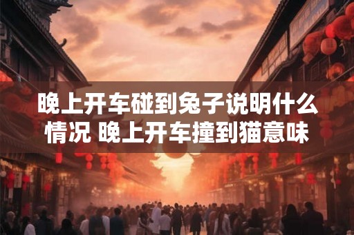 晚上开车碰到兔子说明什么情况 晚上开车撞到猫意味着什么 晚上开车碰到兔子说明什么情况 晚上开车撞到猫意味着什么