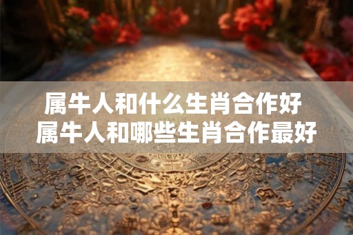 属牛人和什么生肖合作好 属牛人和哪些生肖合作最好