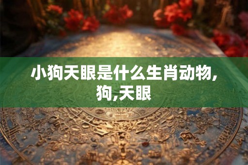 小狗天眼是什么生肖动物,狗,天眼