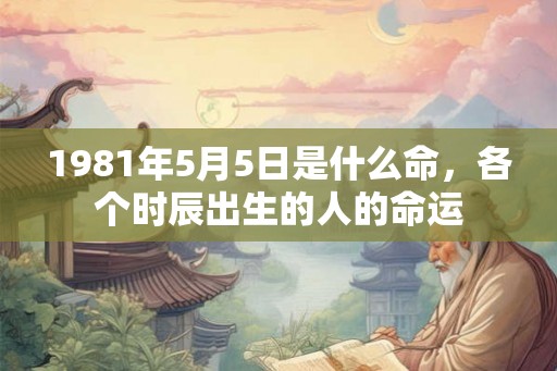 1981年5月5日是什么命,各个时辰出生的人的命运 1981年5月5日是什么命,各个时辰出生的人的命运