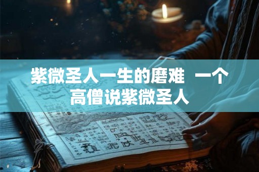 紫微圣人一生的磨难  一个高僧说紫微圣人