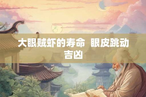大眼贼虾的寿命  眼皮跳动吉凶