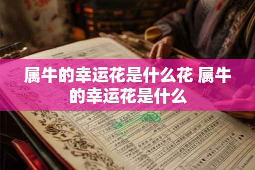 属牛的幸运花是什么花 属牛的幸运花是什么