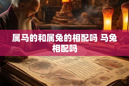 属马的和属兔的相配吗 马兔相配吗