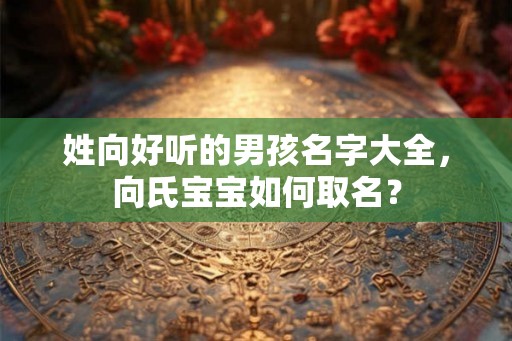 姓向好听的男孩名字大全，向氏宝宝如何取名？